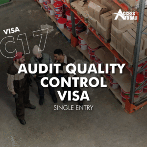 C17 – Audit, Quality Control, or Inspection Visa