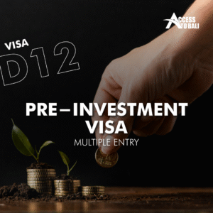 D12- Pre-Investment Multiple Entry Visa 1 D12 – Pre-Investment Multiple Entry Visa (1–2 Years)