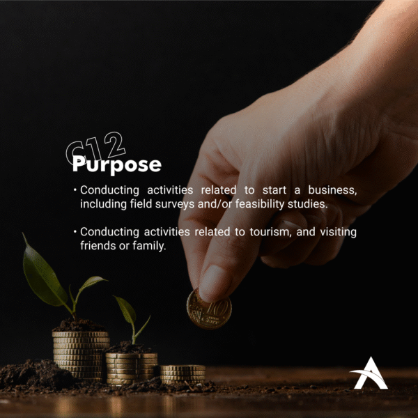 D12 – Pre-Investment Multiple Entry Visa (1–2 Years)