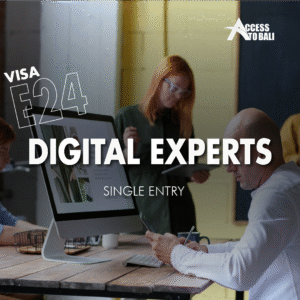 E24 – Digital Experts Visa