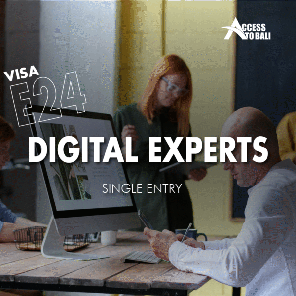 E24 – Digital Experts Visa