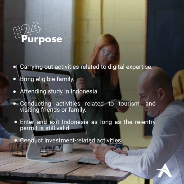 E24 – Digital Experts Visa