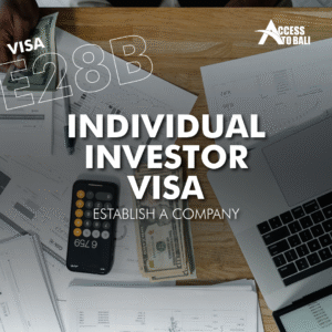 E28B – Individual Investor (Establish a Company)