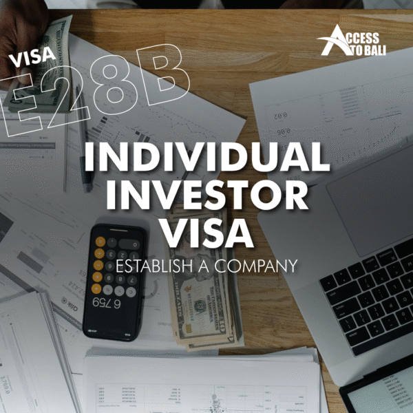 E28B – Individual Investor (Establish a Company)