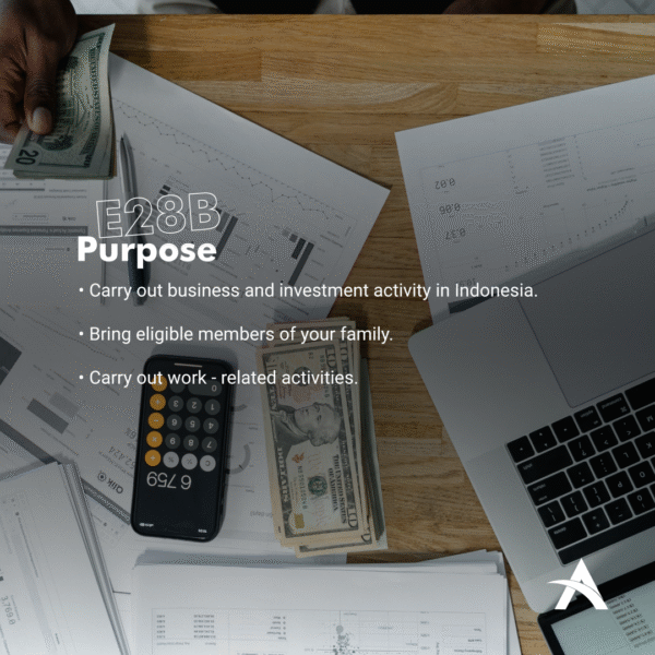 E28B – Individual Investor (Establish a Company)