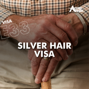 E33- Silver Hair Visa 1 E33- Silver Hair Visa