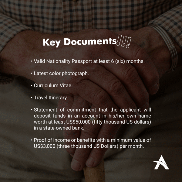 E33- Silver Hair Visa