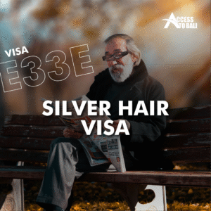 E33E- Silver Hair Visa 1 E33E β Silver Hair Visa