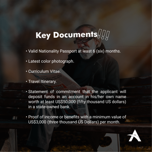 E33E – Silver Hair Visa